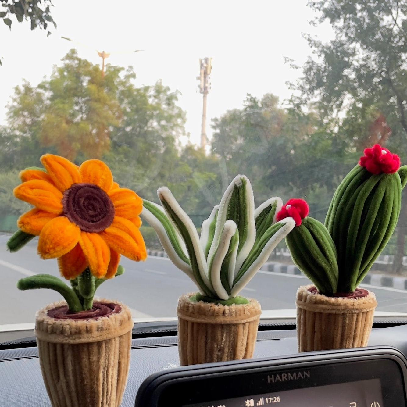 You Are My Sunshine | Sunflower Pot