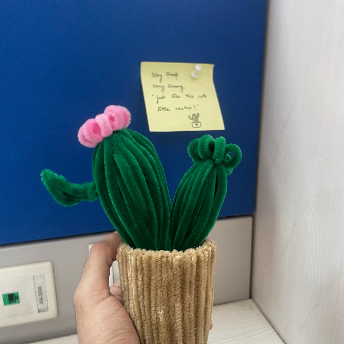 Blooming Cactus Pot
