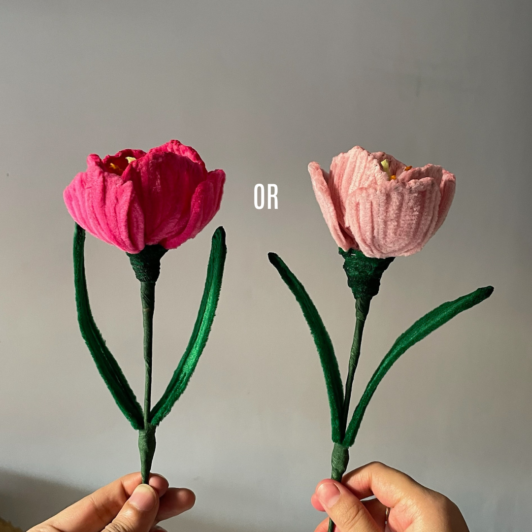 showcasing two options of a tulip flower available in pastel pink and pink color