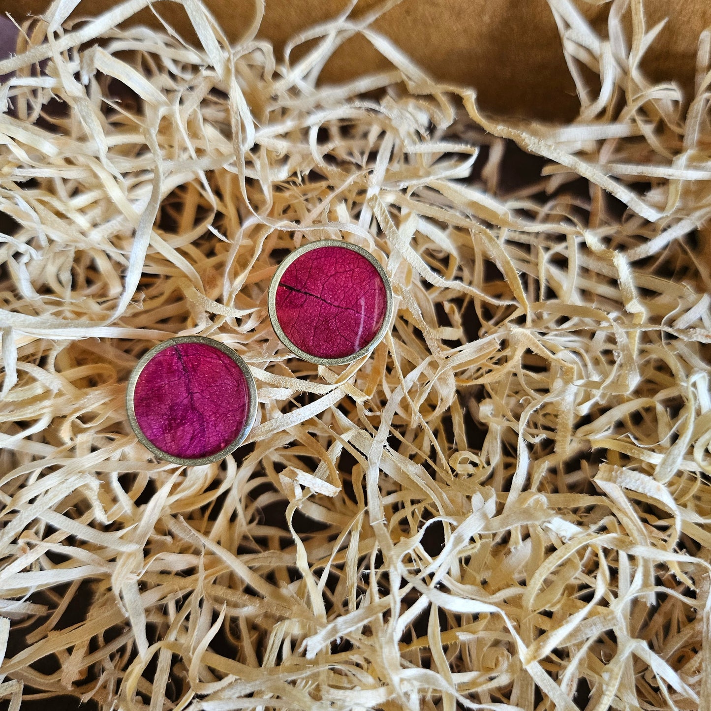 Bougainvillea Studs