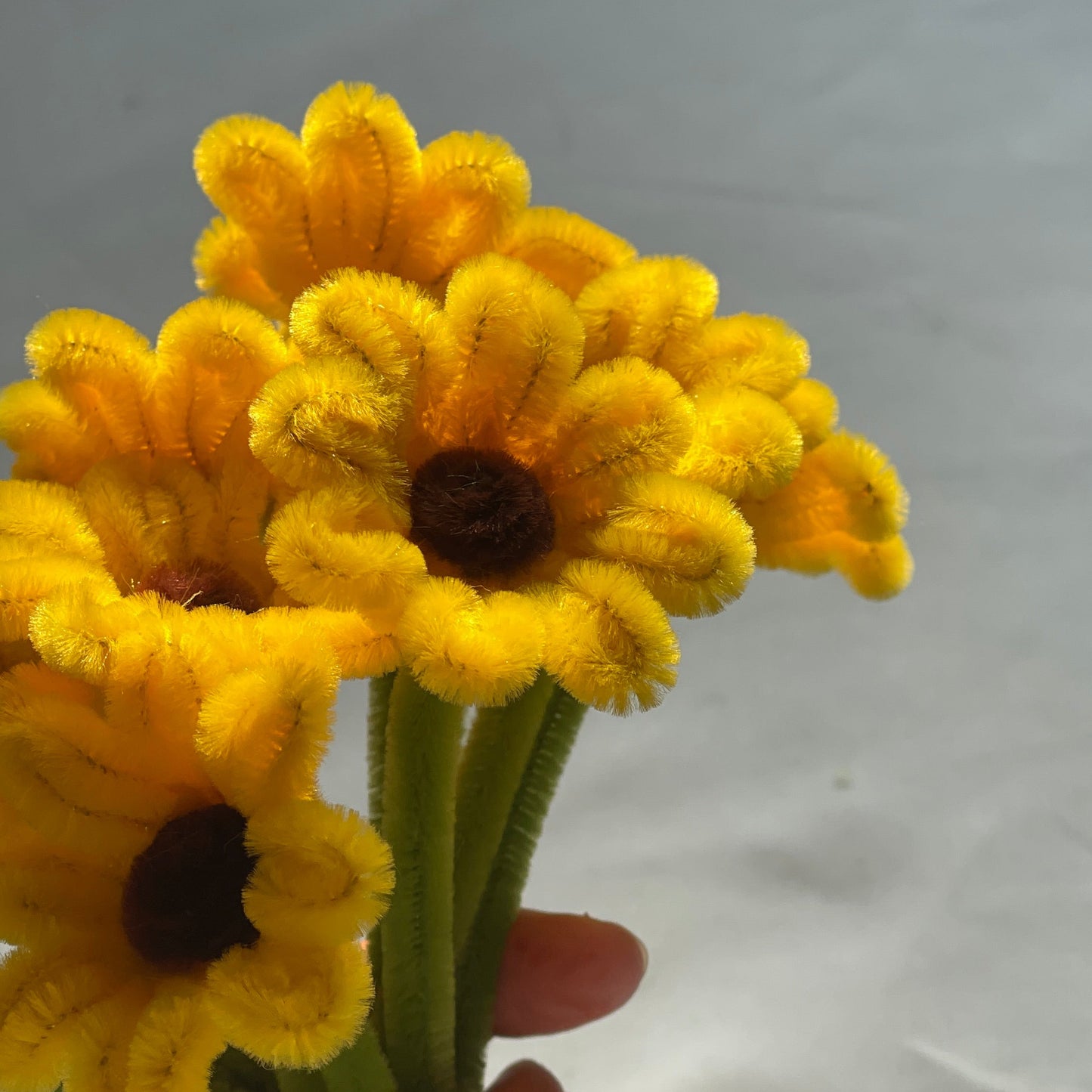 Dancing Flowers | DIY Kit