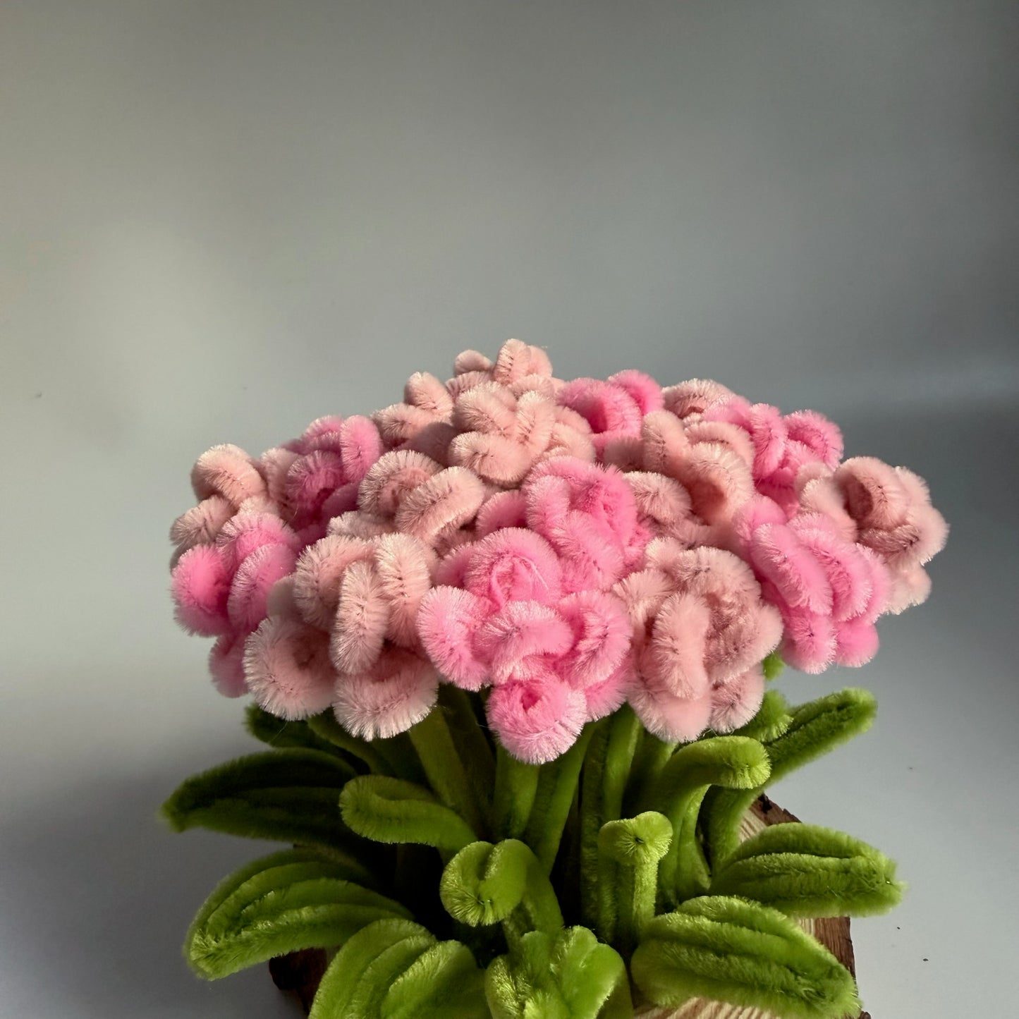 Dancing Roses | Ready Piece