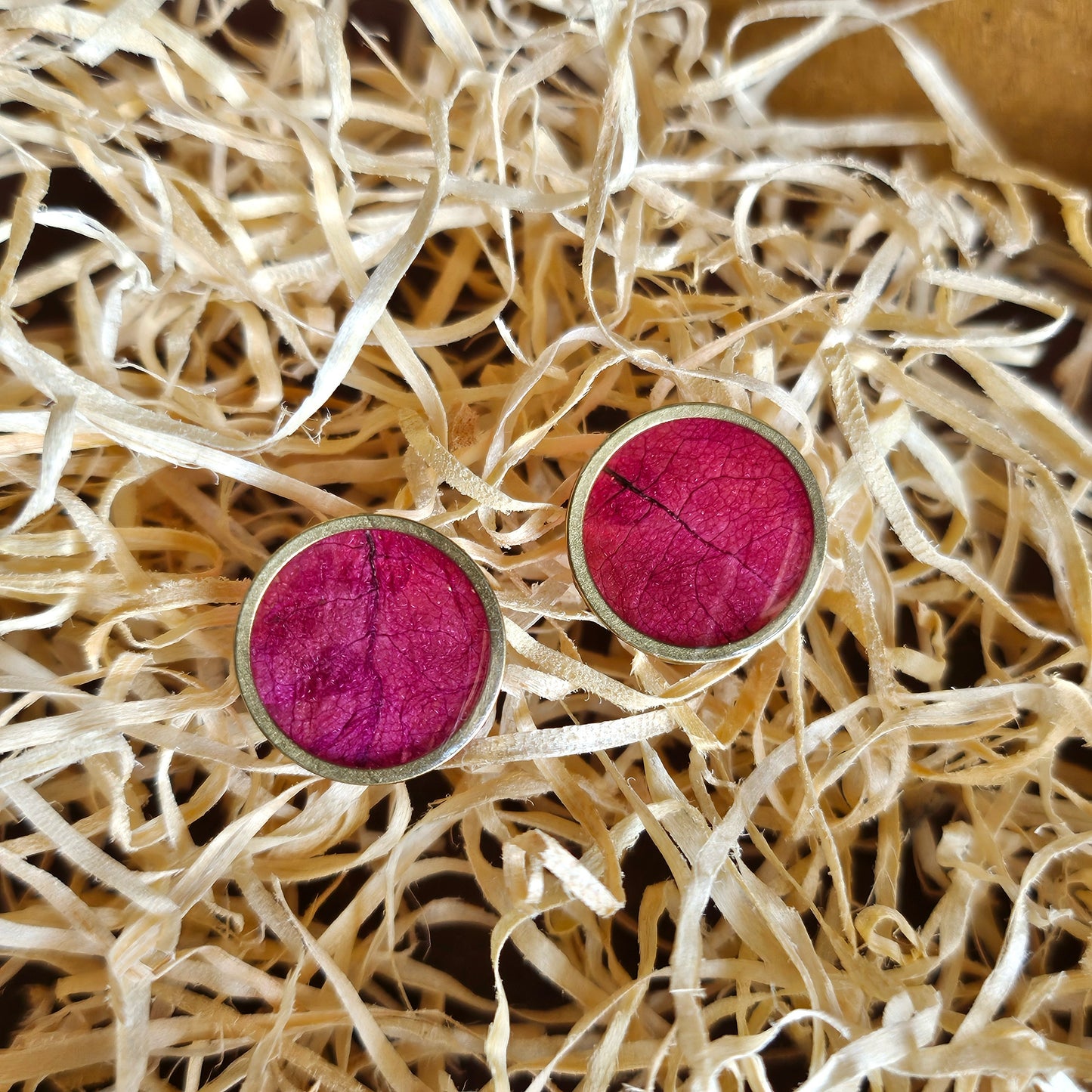 Bougainvillea Studs