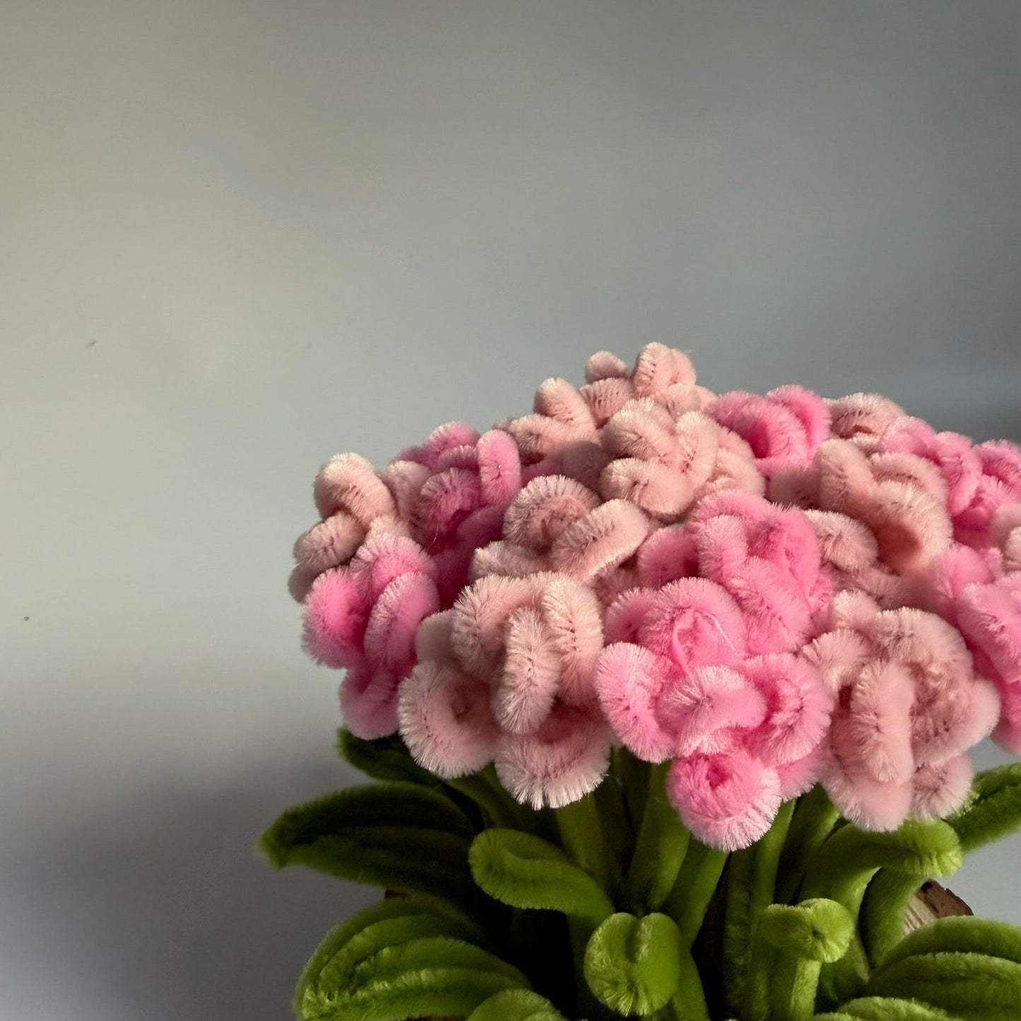 Dancing Roses | Ready Piece