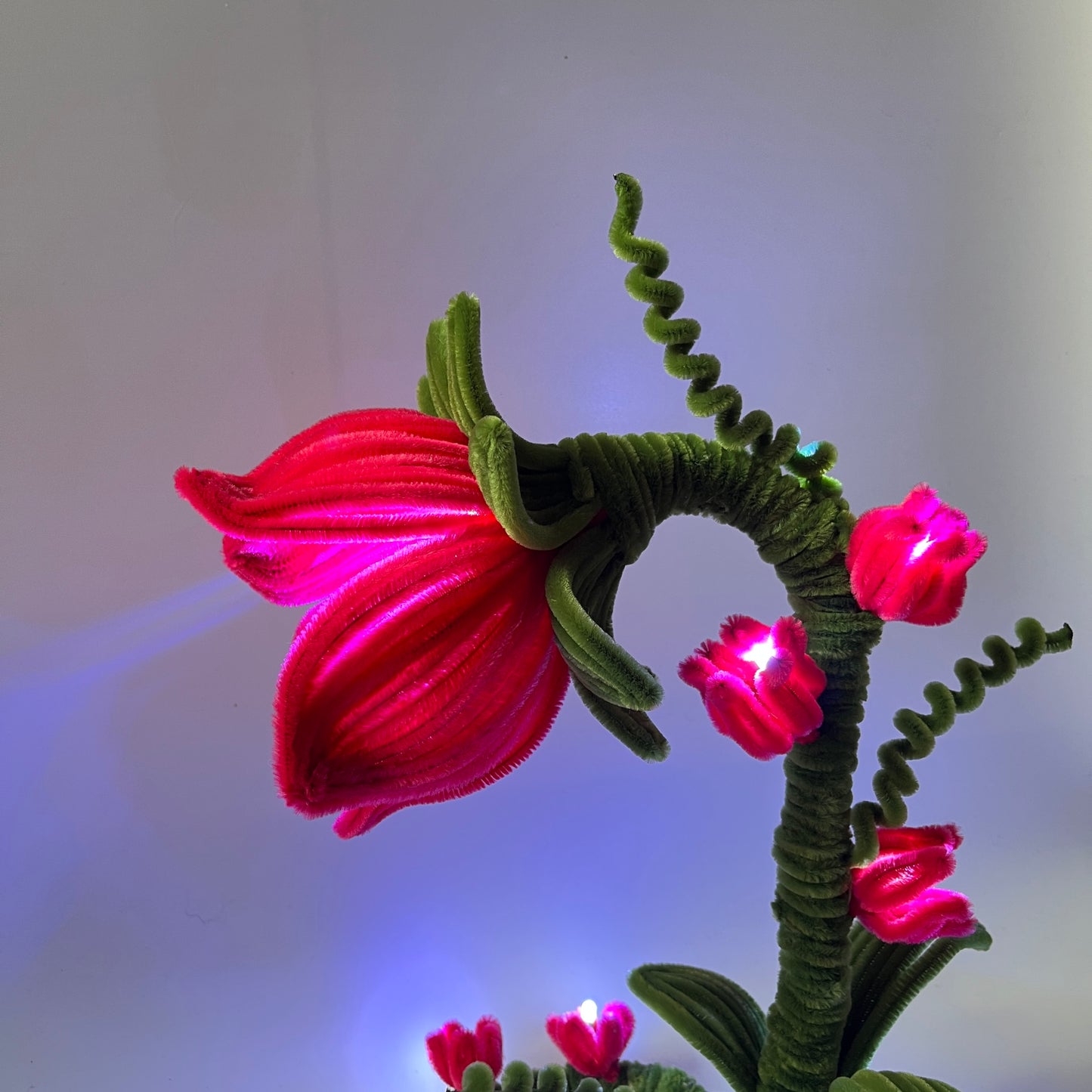 Sundowner Lamp | DIY Kit