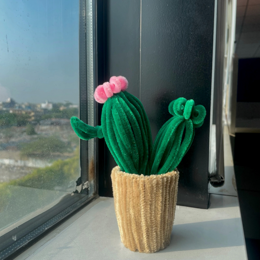 Blooming Cactus Pot
