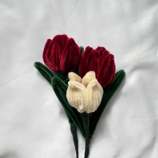 Tulips To Make Her Blush