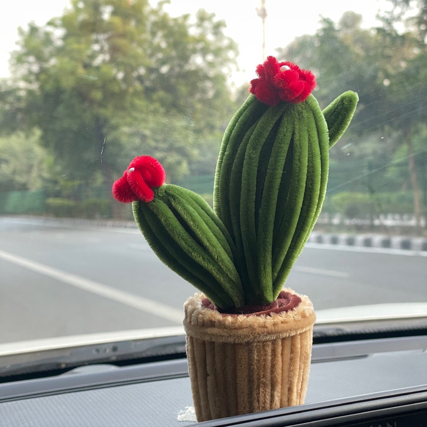 Blooming Cactus Pot | Ready Piece