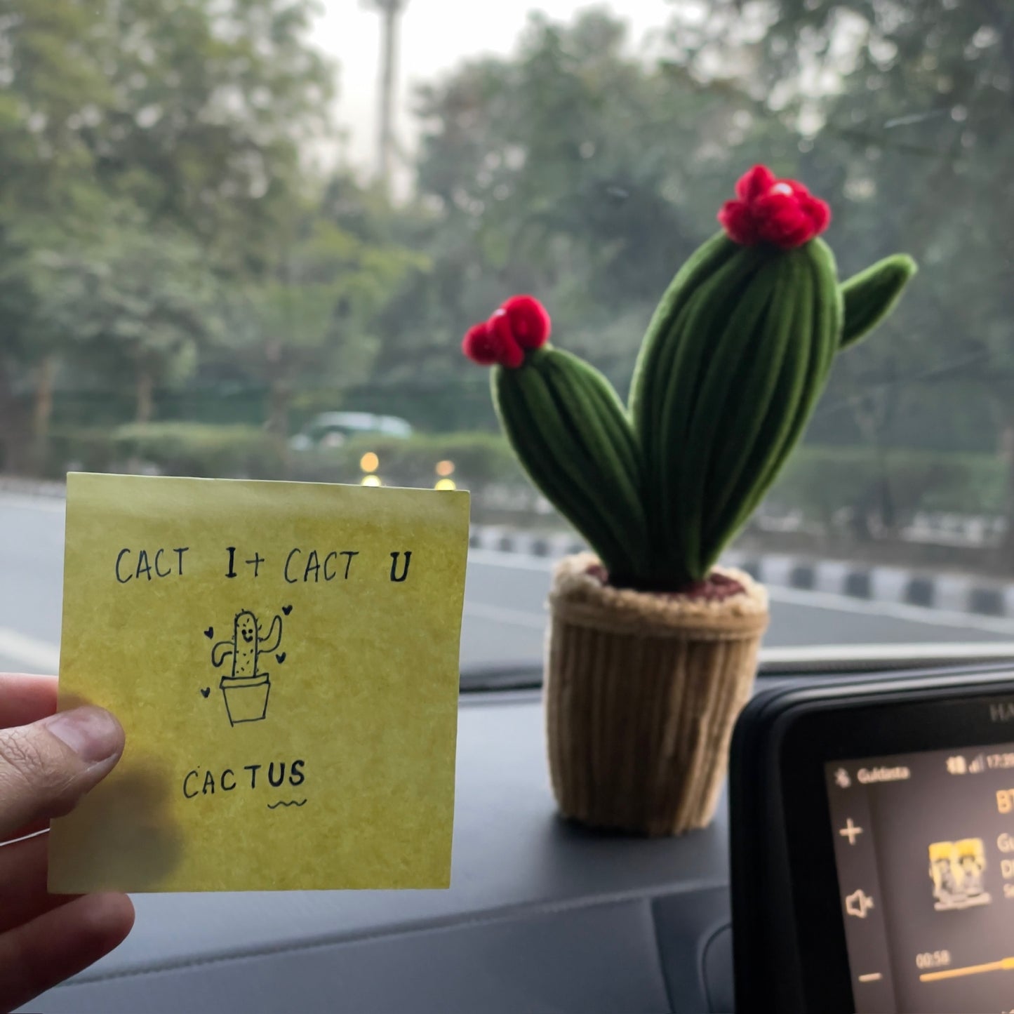 Blooming Cactus Pot | Ready Piece