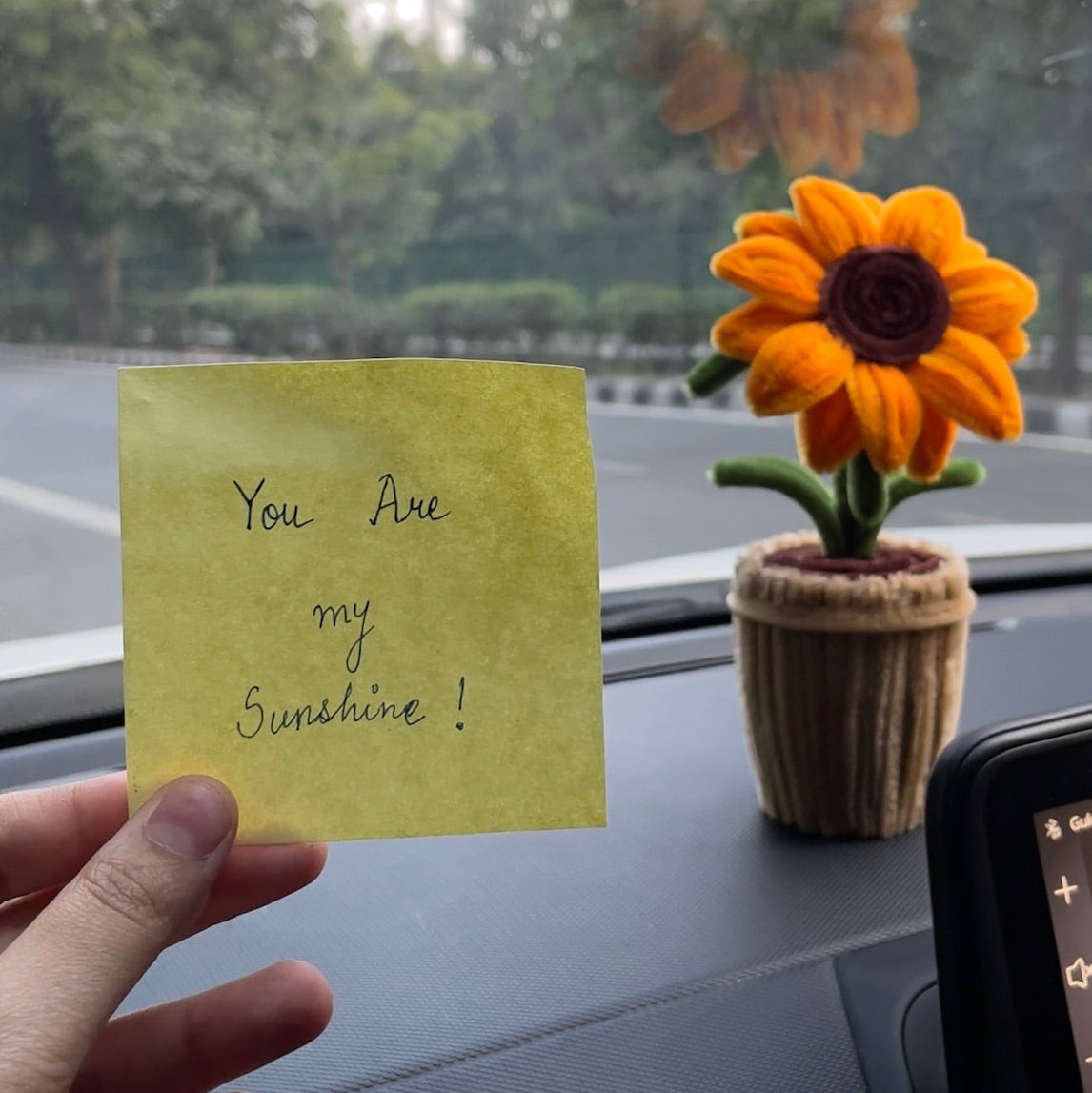You Are My Sunshine | Sunflower Pot